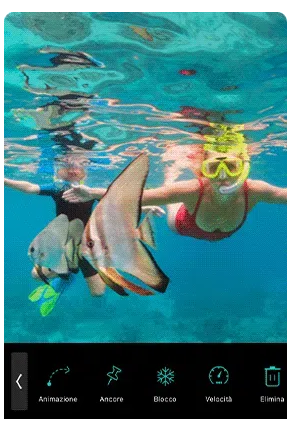 Use the best photo editor app, PhotoDirector to liven up your images with animation