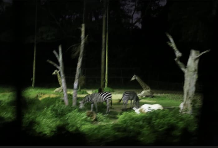 PhotoDirector その他の例3　補正前