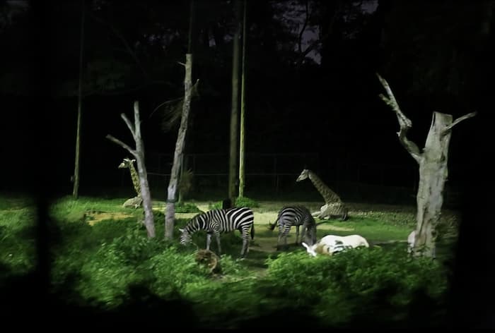 PhotoDirector その他の例3　補正後