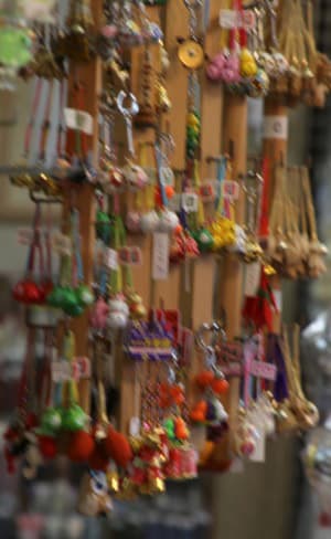 PhotoDirector その他の例4　補正前