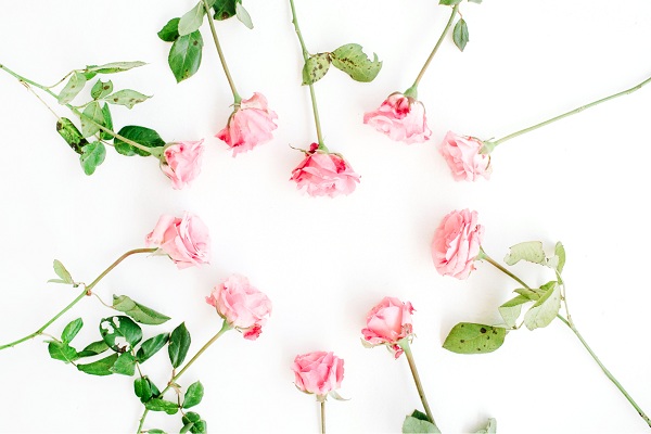 Best Valentine’s Day Wallpaper