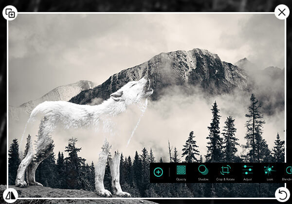 Use the best photo editor app, PhotoDirector