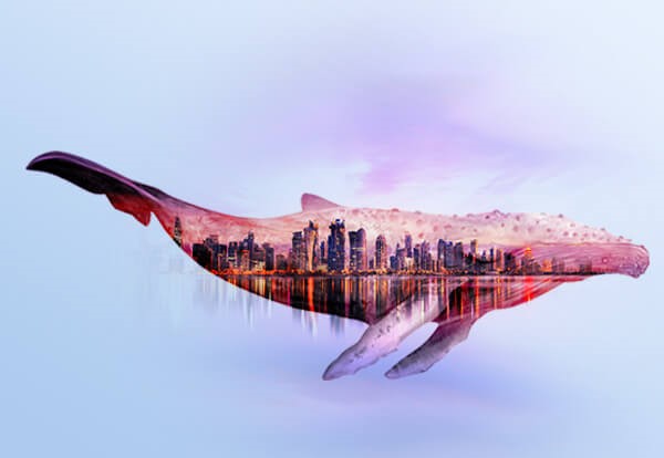 PhotoDirector: La migliore App per doppia esposizione