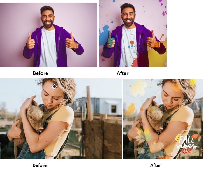 Image to Cartoon Interface