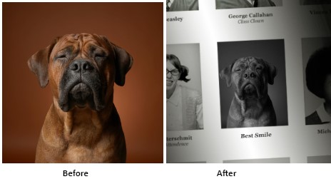 Image to Cartoon Interface