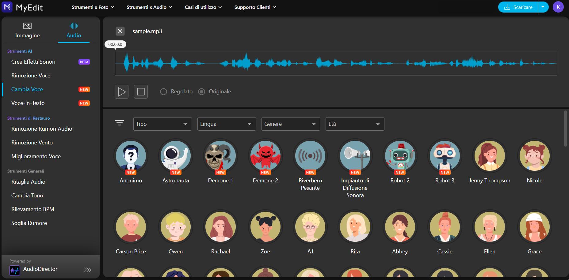 MyEdit Interface