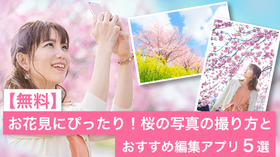 お花見にぴったり！桜の写真を撮るコツとおすすめ写真編集アプリ５選