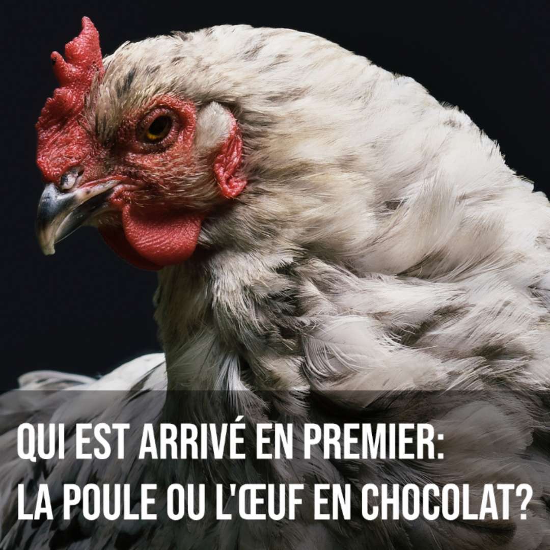 Promeo App - Meilleurs modèles de Pâques 2025 en Francais