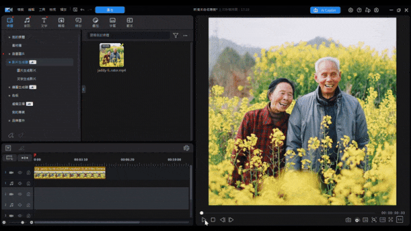 AI影片生成工具 Sora