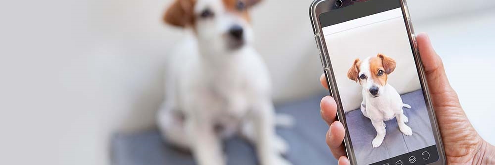 Les 5 meilleures applications d'appareil photo