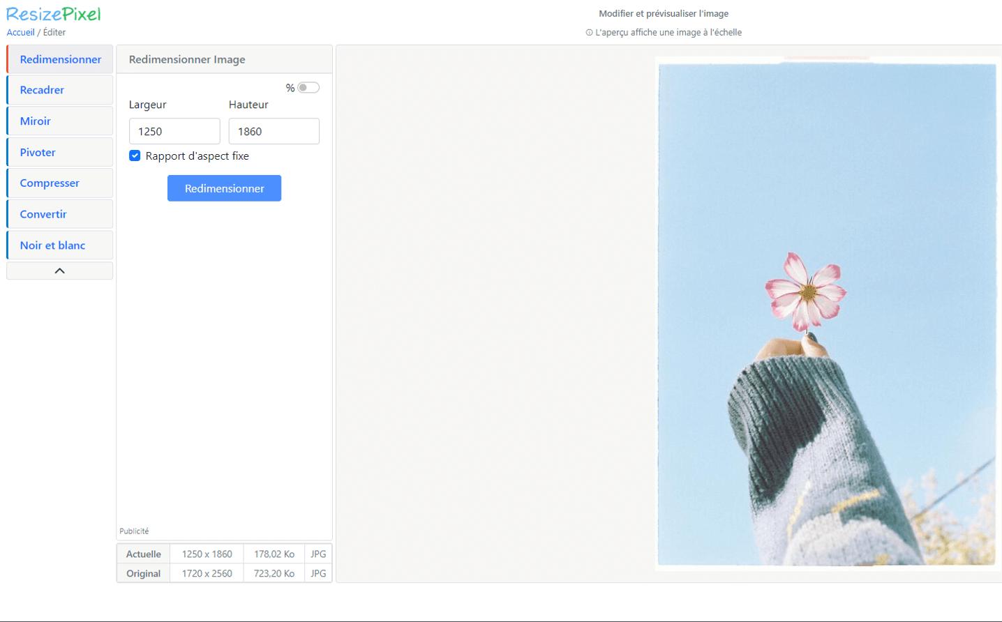 ResizePixel - Redimensionner une image en ligne et prévisualiser les changements