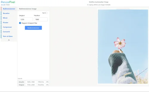 ResizePixel - Redimensionner une image en ligne et prévisualiser les changements