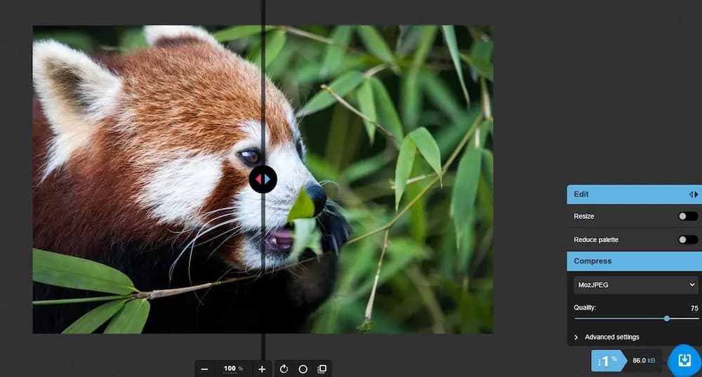 Squoosh UI