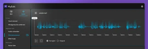 Der beste Online Audio Editor