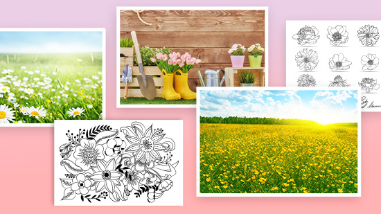 Best Spring Images, Coloring Pages, Wallpapers, Backgrounds, and Clipart