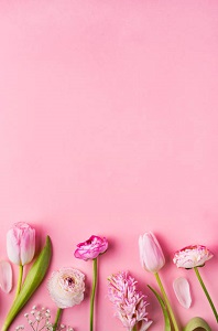 Spring Stock Images