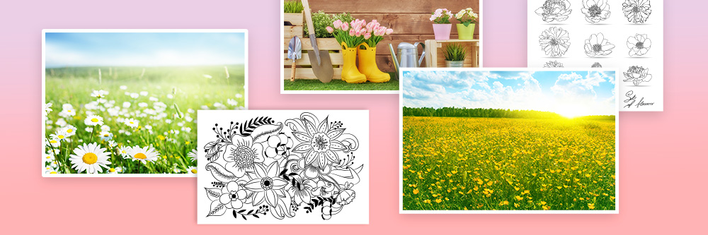 Best Spring Stock Images 