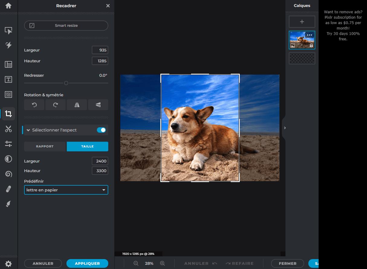 Pixlr - Rogner une image en ligne avec des formats prédéfinis pour tout type d'utilisation