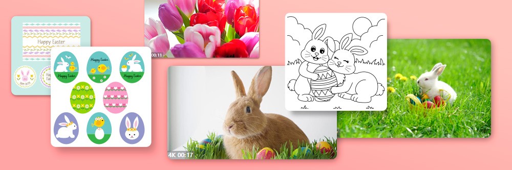 Best Easter Stock Images 