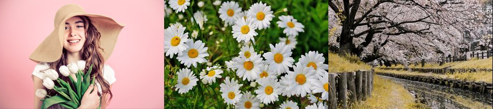 Spring Flowers Images