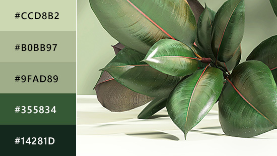 Sage Green Color: Everything You Need to Know