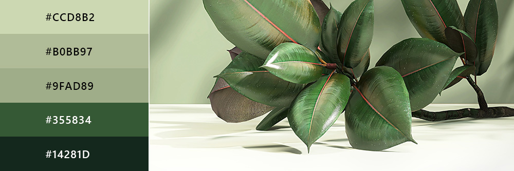 Sage Green Color: Everything You Need to Know