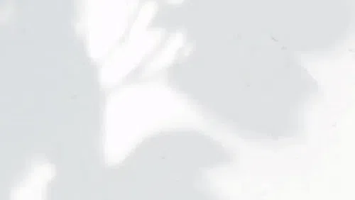 Inviti di compleanno