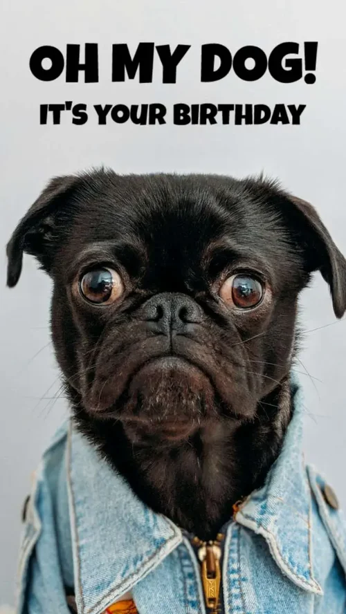 Migliaia di Modelli per Compleanno