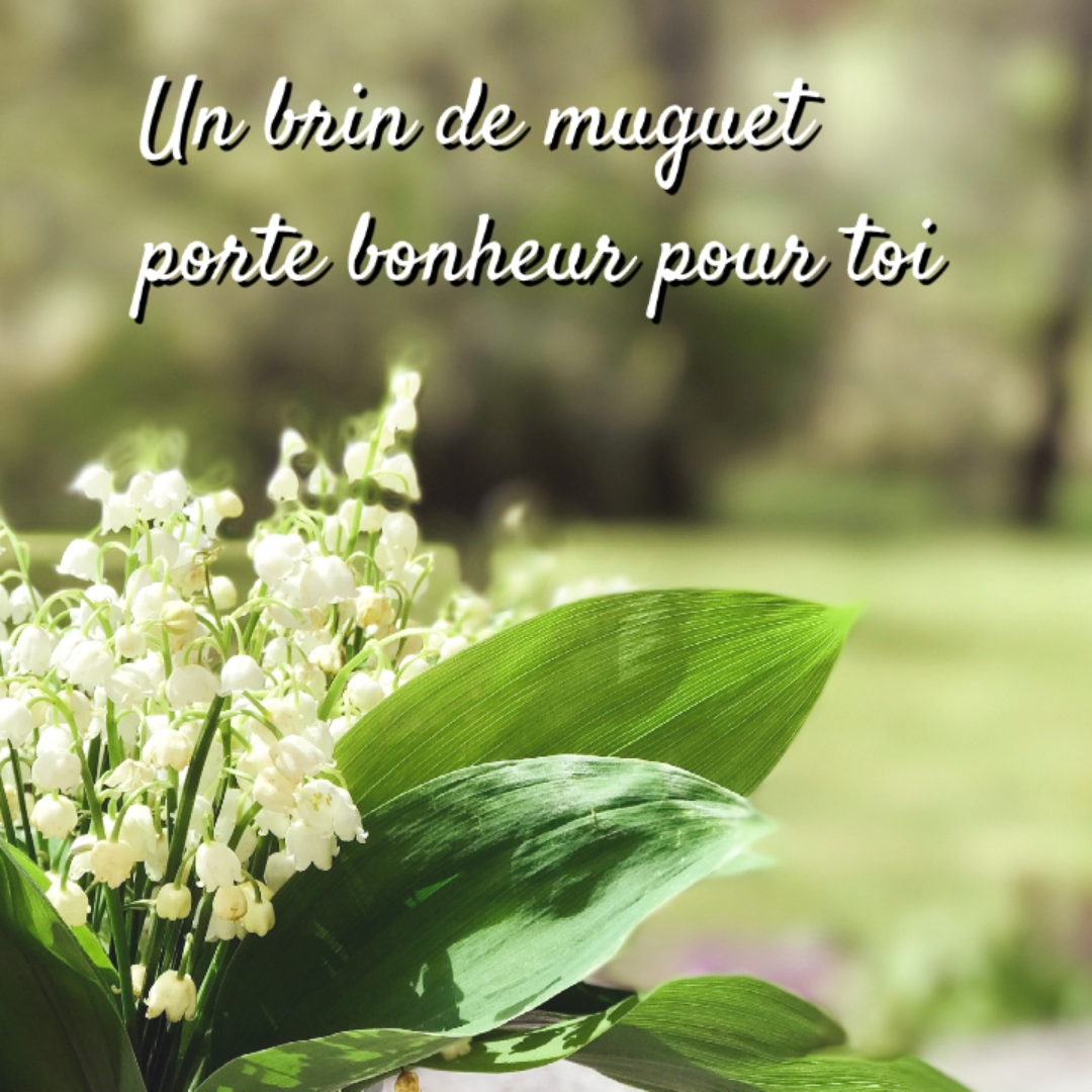 Meilleurs modèles du 1er mai