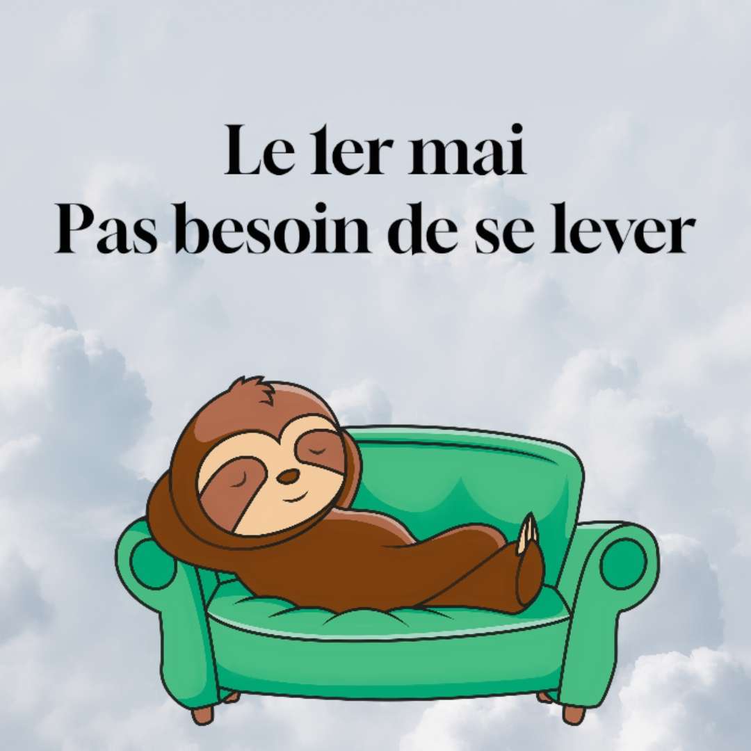 Meilleurs modèles du 1er mai