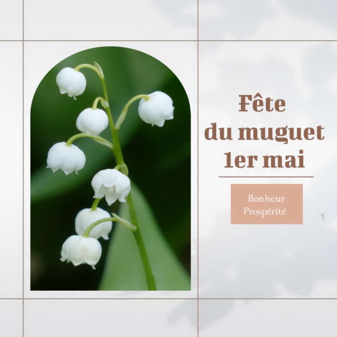 Meilleurs modèles du 1er mai