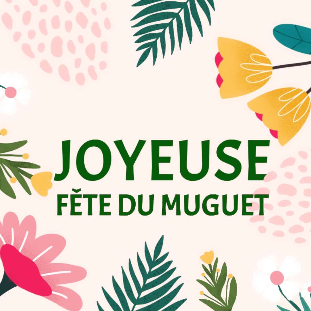 Meilleurs modèles du 1er mai