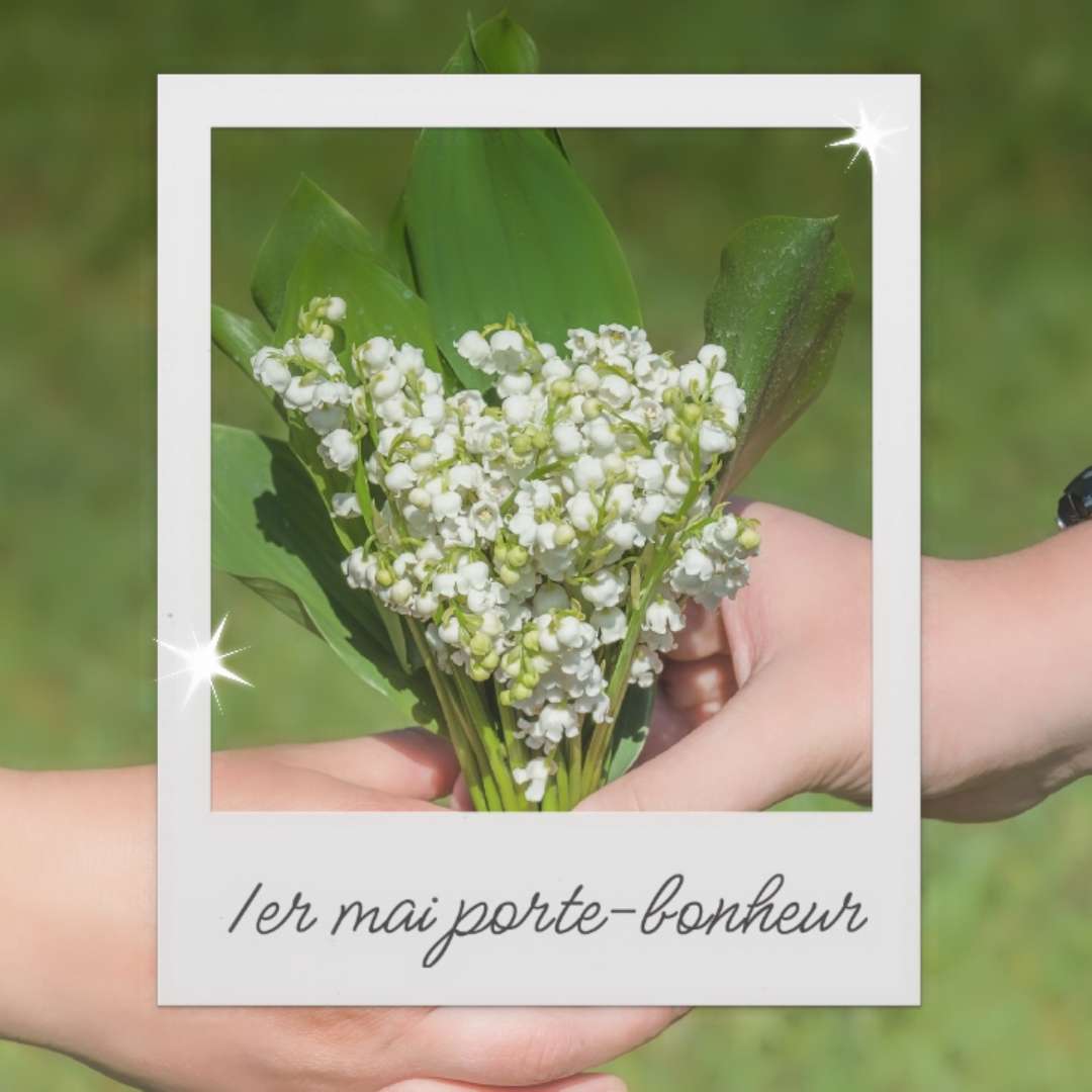 Meilleurs modèles du 1er mai