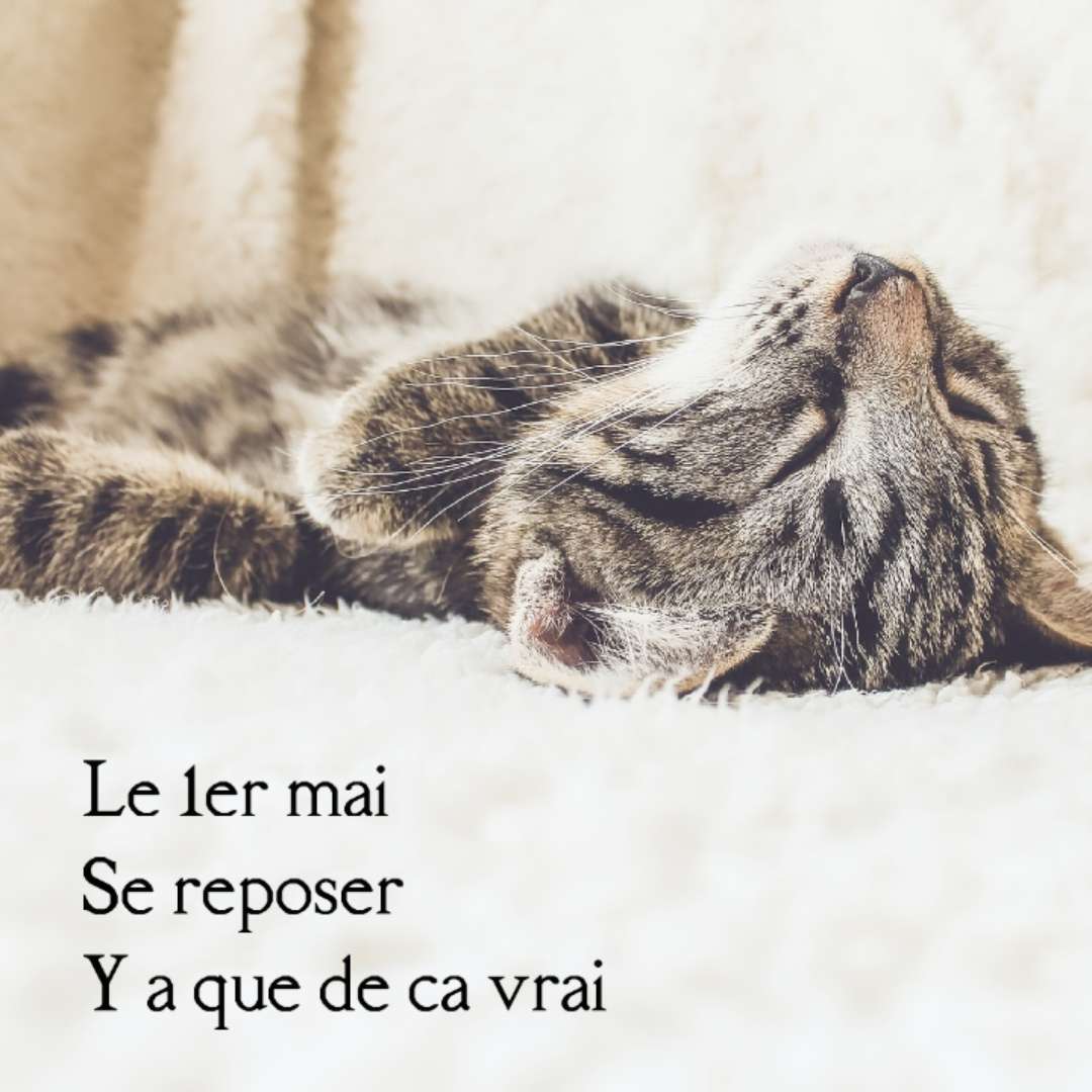 Meilleurs modèles du 1er mai