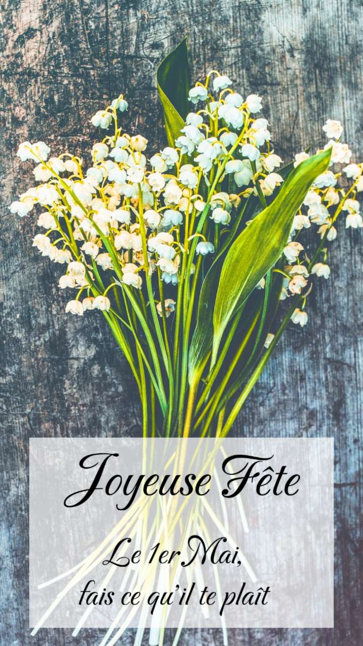 Meilleurs modèles du 1er mai