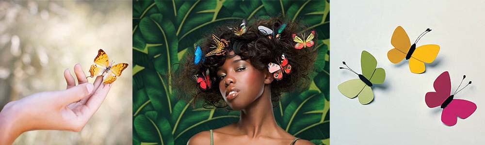 Best Summer Stock Images