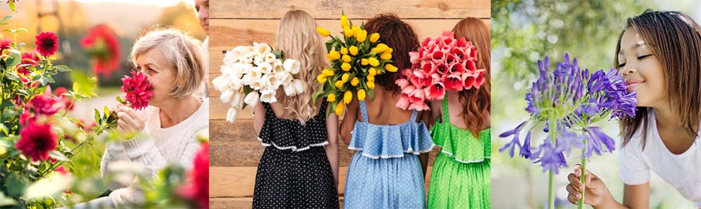 Best Summer Stock Images