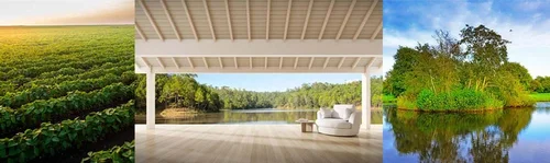 Best Summer Stock Images