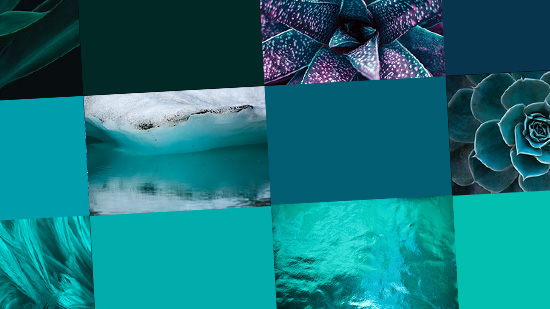 Teal Color: Everything You Need to Know