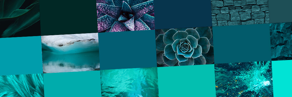 Teal Color: Everything You Need to Know