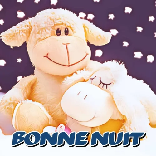 Meilleurs modèles pour souhaiter une bonne nuit romantique