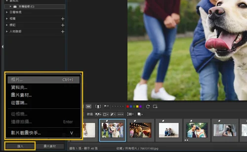 1 吋／2 吋大頭照產生器