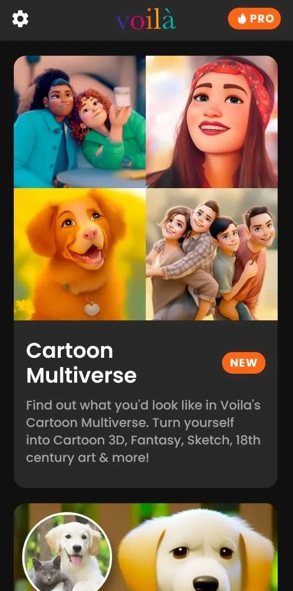 Voila AI Artist interface