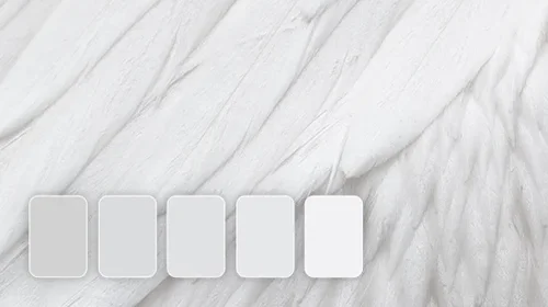 White Color: Everything You Need to Know