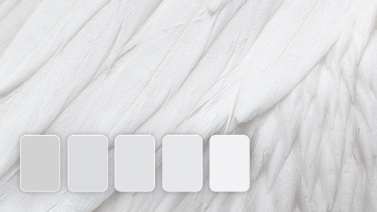 White Color: Everything You Need to Know