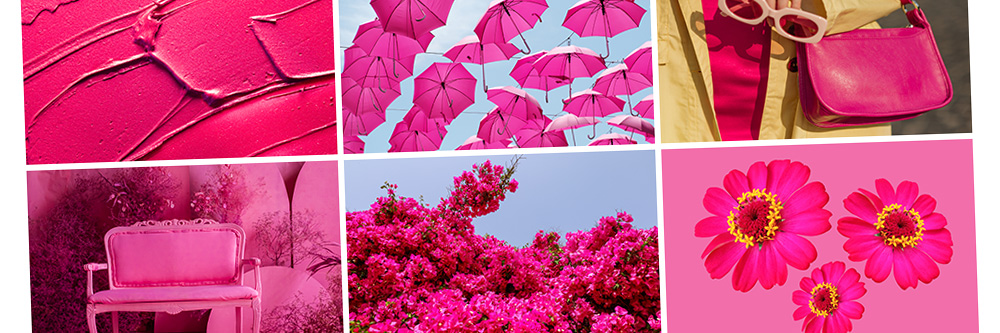 Pink Color: Everything You Need to Know