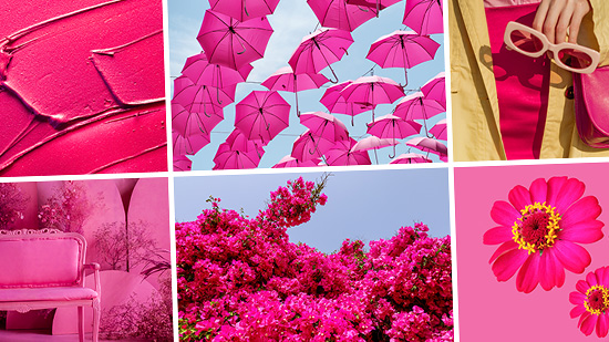 Pink Color: Everything You Need to Know