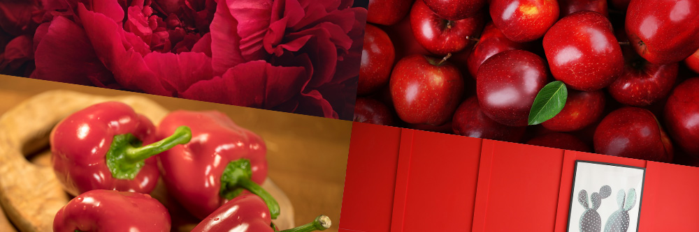 Red Color: Everything You Need to Know
