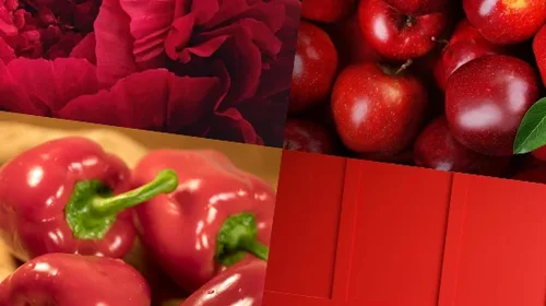 Red Color: Everything You Need to Know