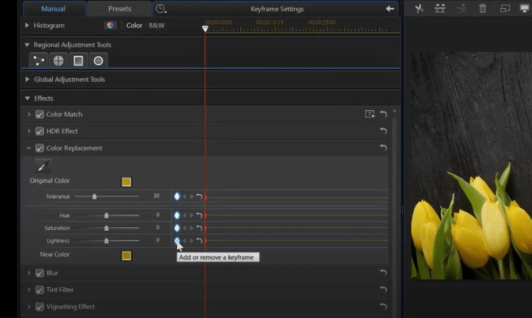 Keyframe Color Replacement in CyberLink PowerDirector